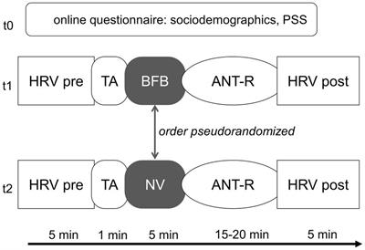 The effect of a single-session heart rate variability biofeedback on attentional control: does stress matter?